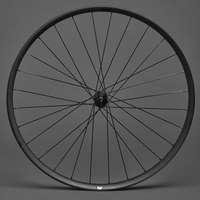 gída SL g2 29 - rim only